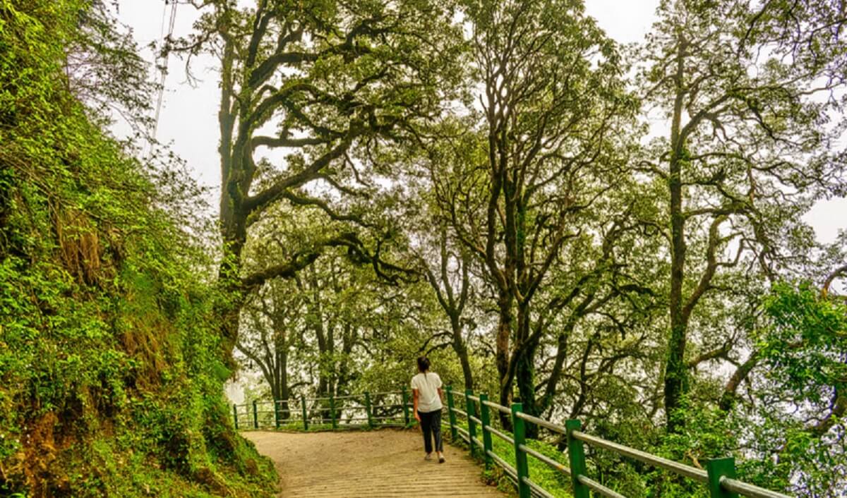 Monsoon Activities in Mussoorie