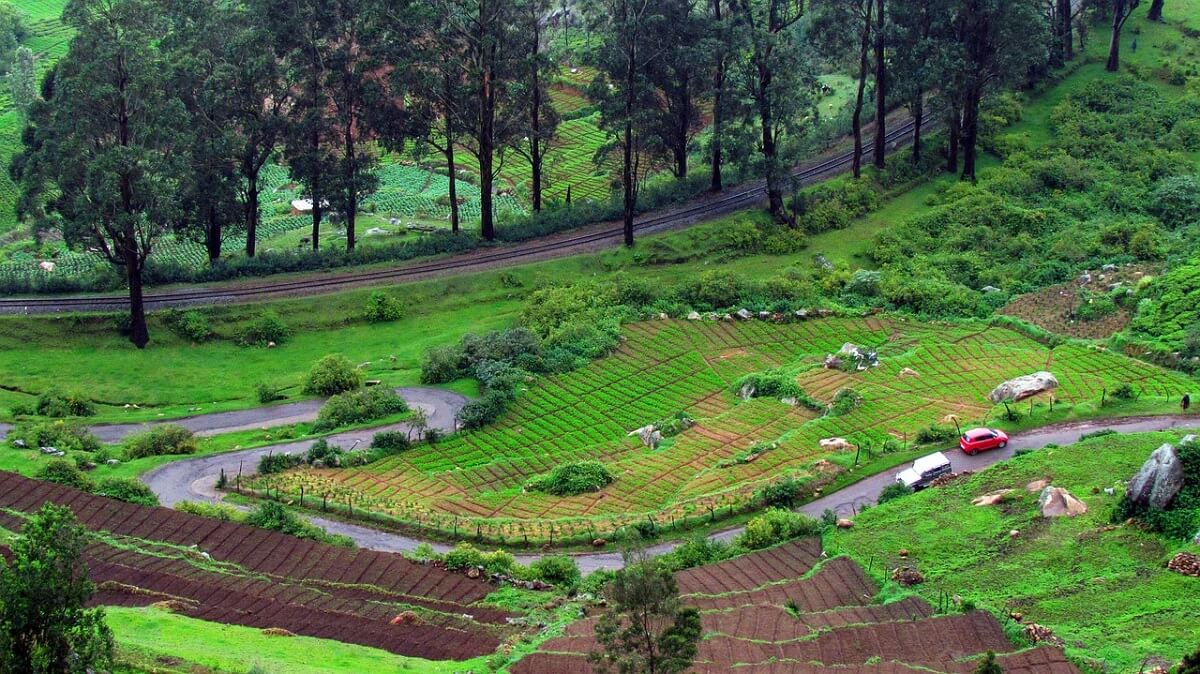 Short Day Trips from Ooty in June