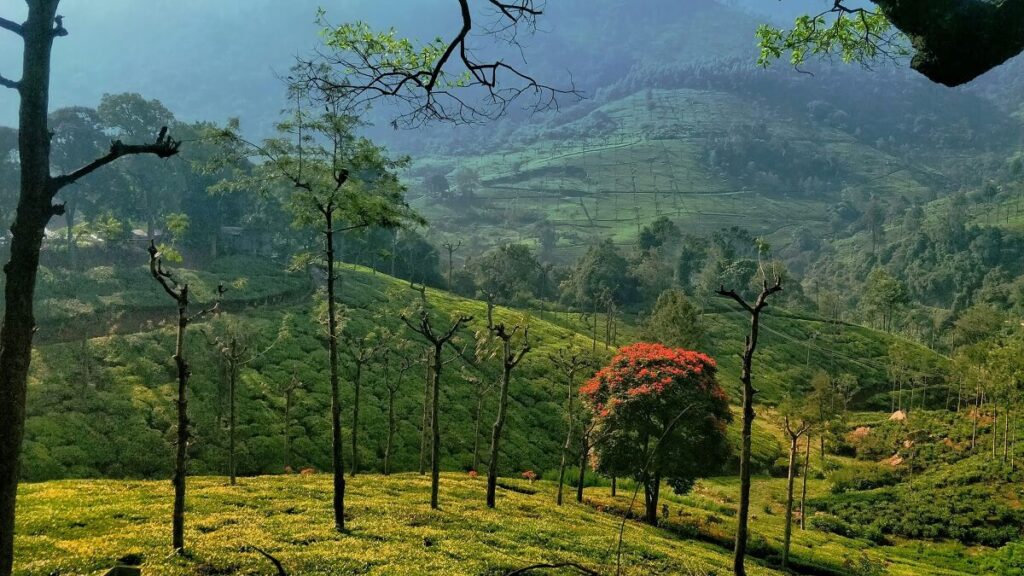 How to Reach Ooty in October 2025