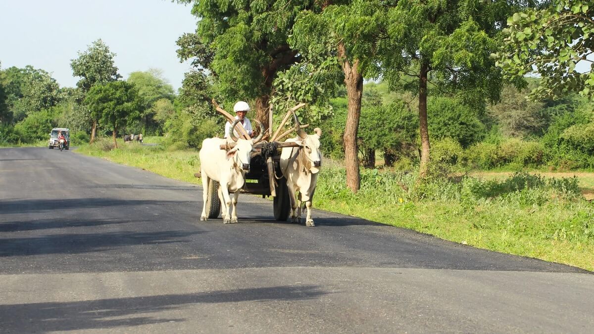 Reaching Jawai by Road