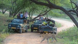 Best Time to Visit Jawai, Rajasthan