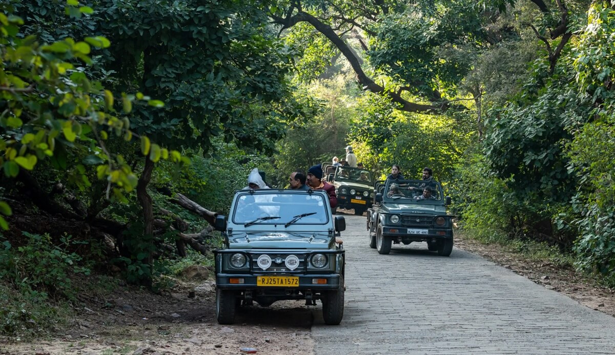 Monsoon Activities to Try in Mount Abu