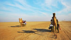 Rajasthan in August: Top Destinations, Attractions & Must-Know Tips for an Unforgettable Monsoon Trip