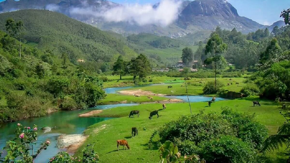 Nearby Attractions Suitable for Families