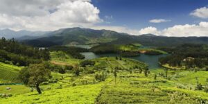 Tamil Nadu in December – Beaches, Temples, and Cultural Routes