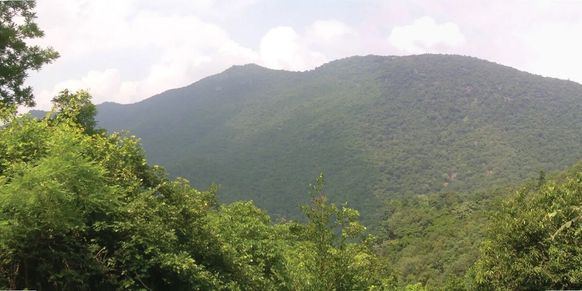 Javadi Hills- Hill Stations in Tamil Nadu