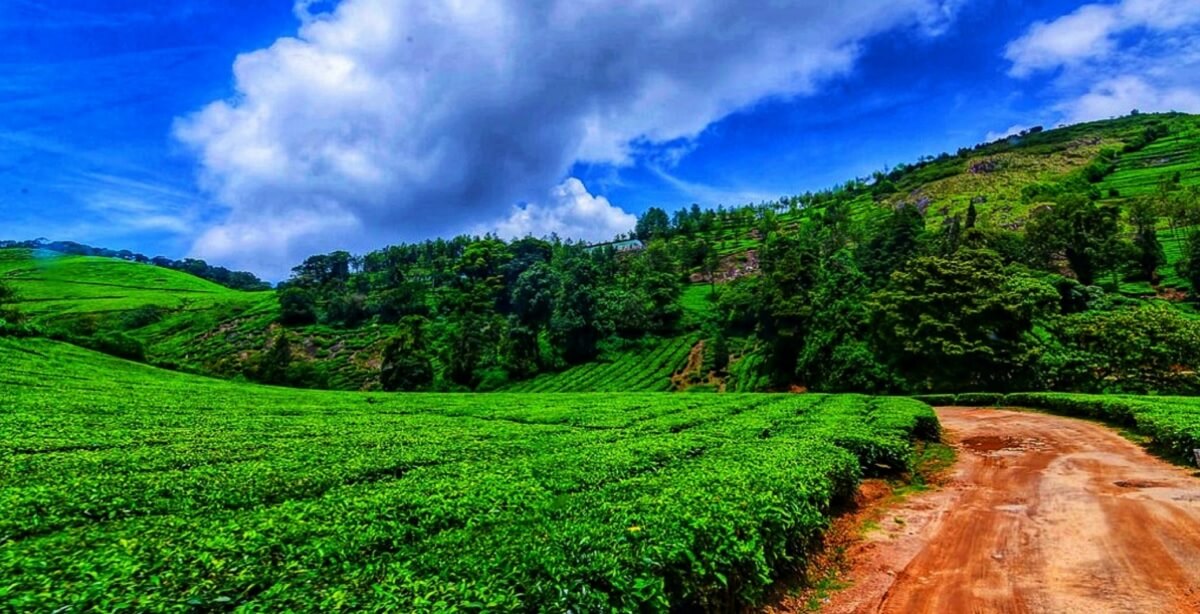 Meghamalai - Hill Stations in Tamil Nadu