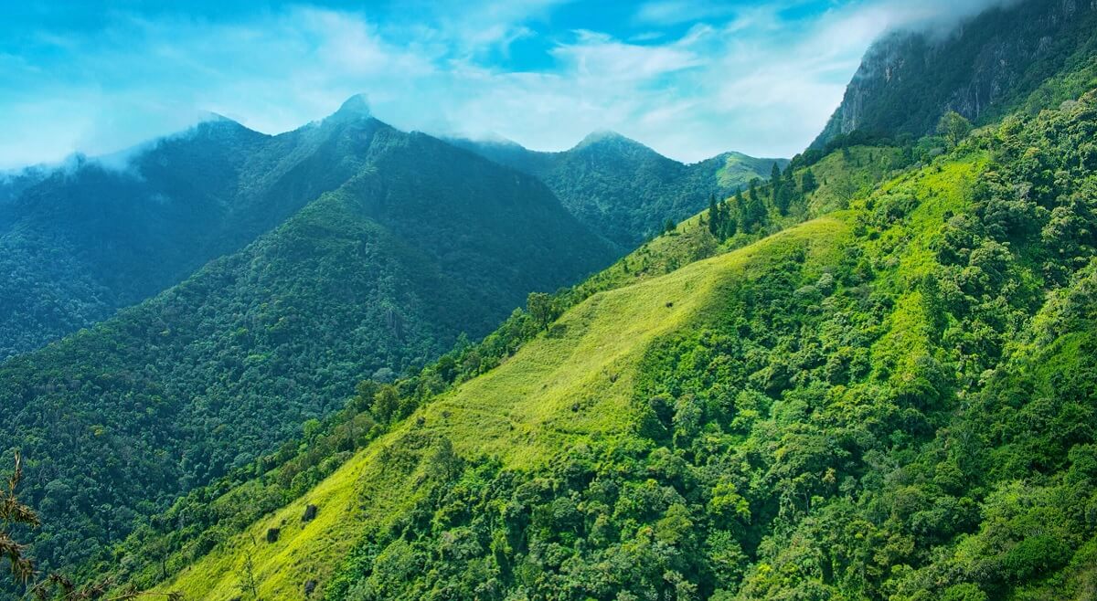 Peora 