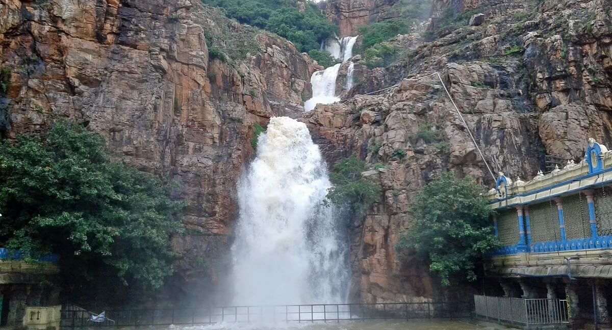 Practical Tips for Different Seasons