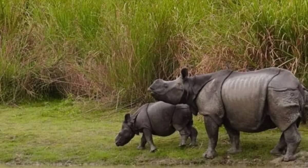 Location & Significance: Where Is Mouling National Park?