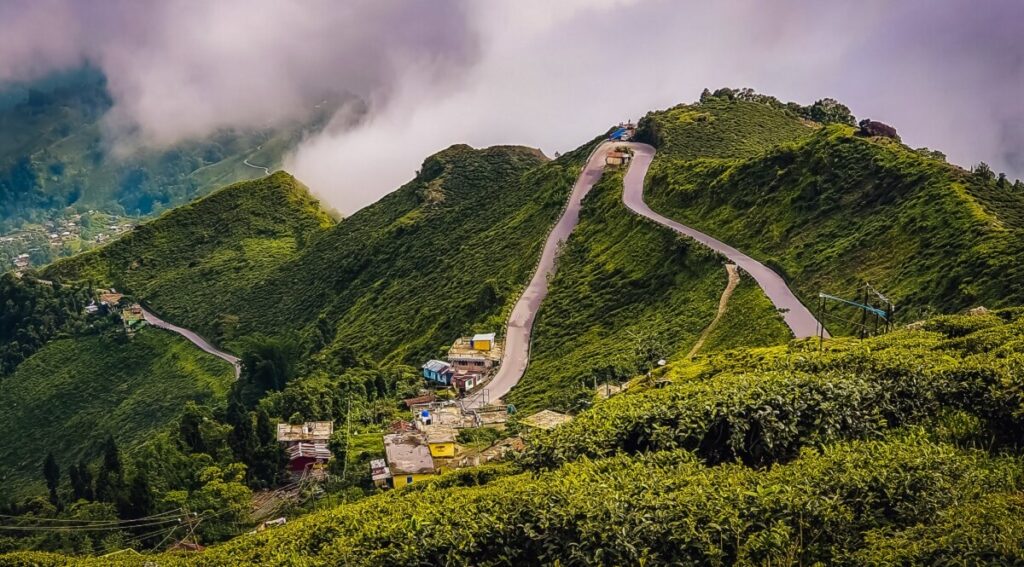 Darjeeling in July: Complete Travel Guide to Weather, Misty Views, Things to Do & More