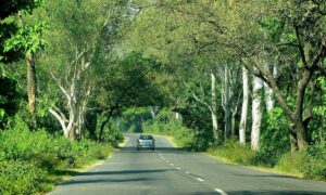 Travel Tips for October Long Weekends from Delhi