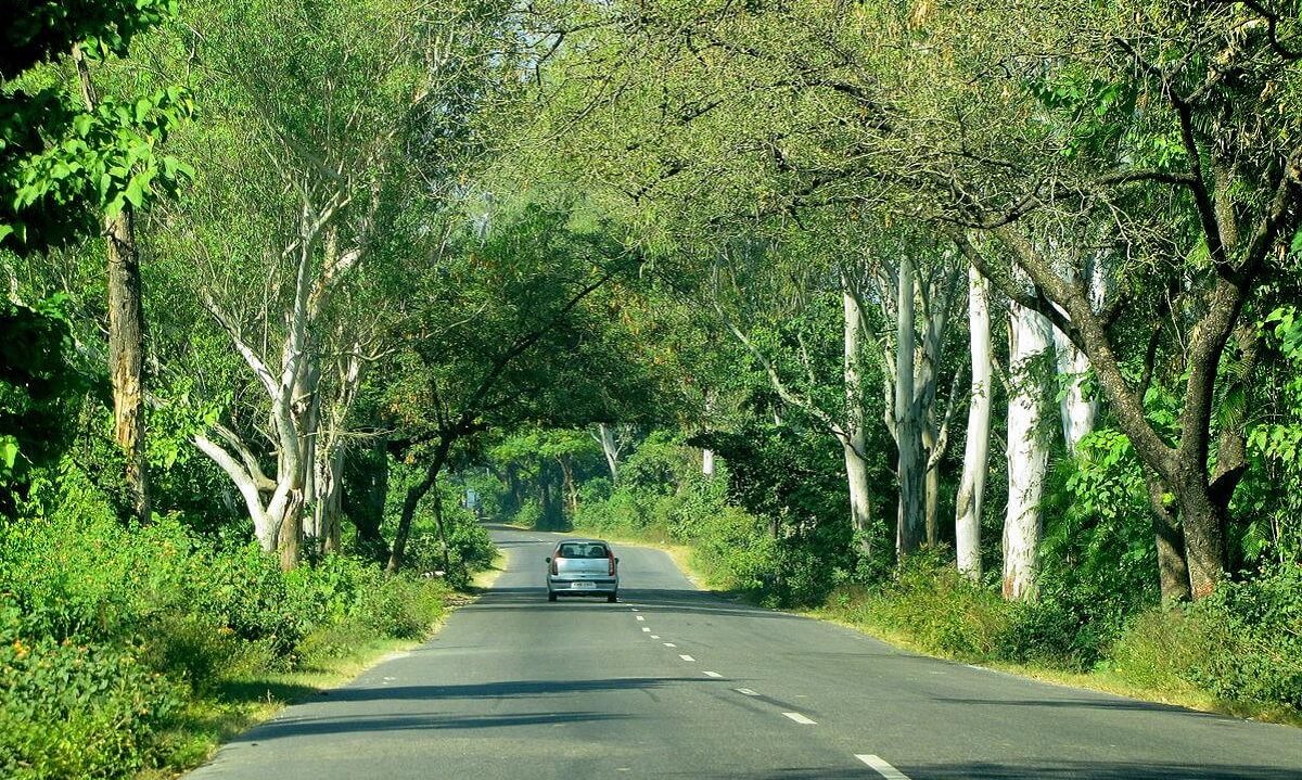 Route 4: Delhi to Auli – The Ultimate December Snow Adventure