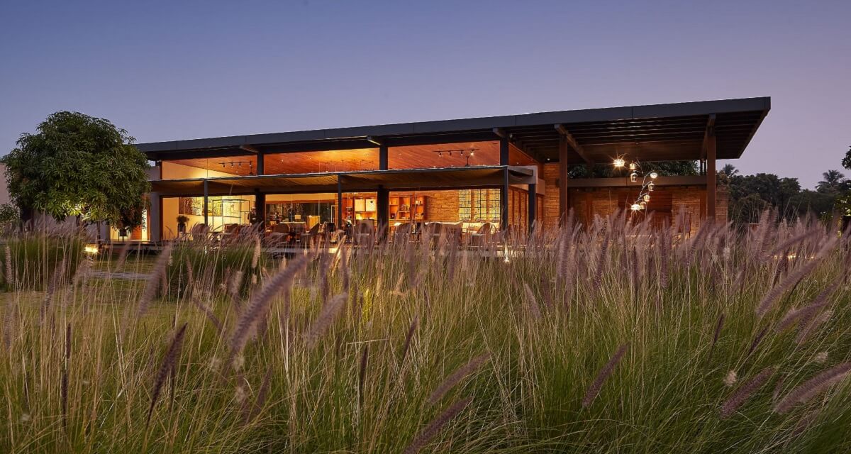 Woods at Sasan – Forest Wellness in the Land of Lions