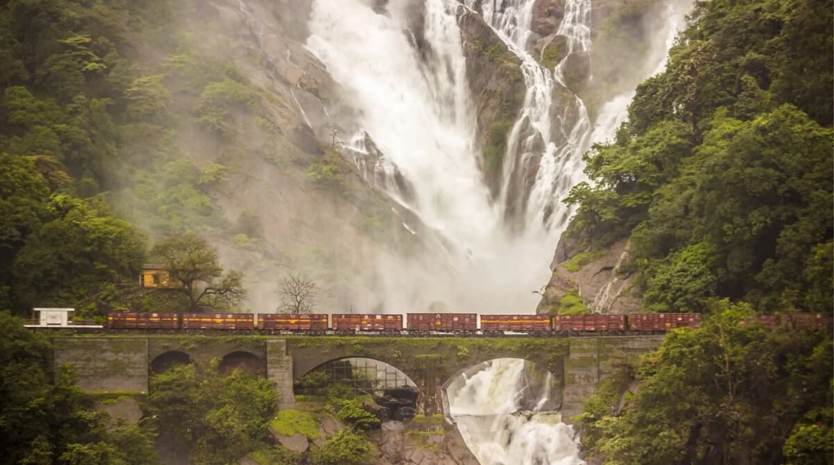 Essentials for Wildlife Photography at Dudhsagar