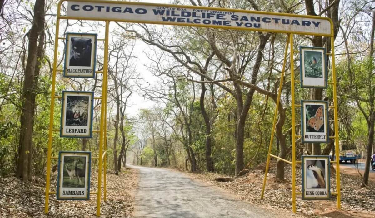Cotigao Wildlife Sanctuary, Goa