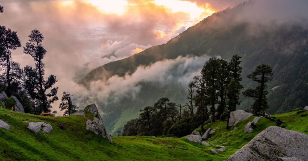 Himachal in July: Weather, Best Places to Visit, Travel Tips & Itinerary (2025 Guide)