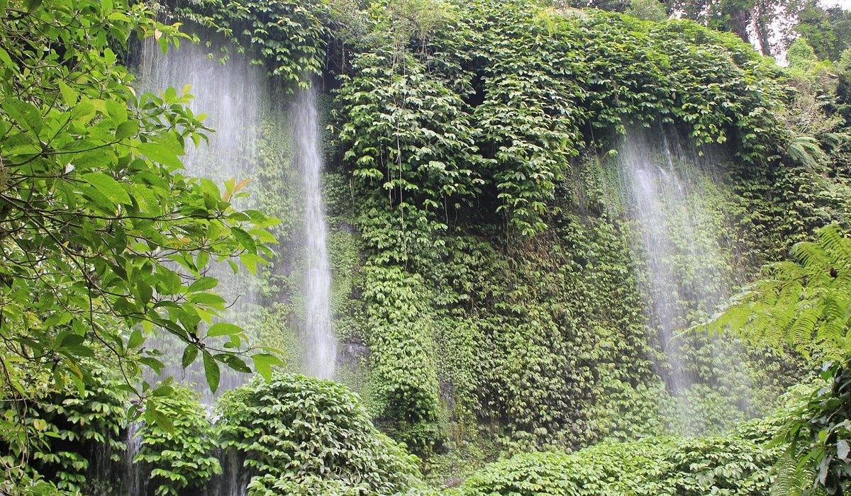 Getting Around Bali on a Budget