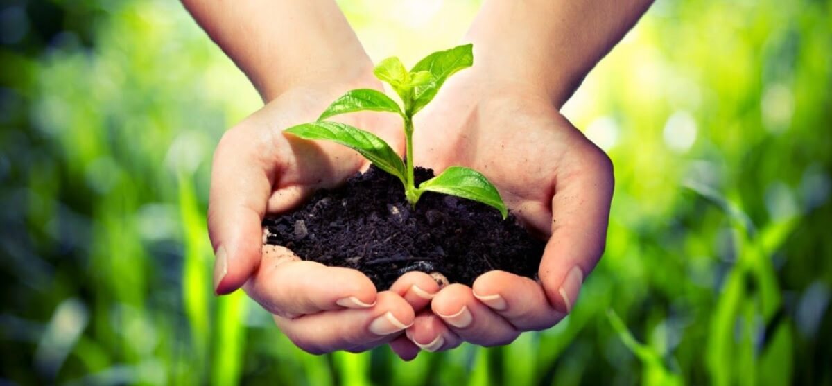 Sustainable Travel Tips for the Conscious Explorer