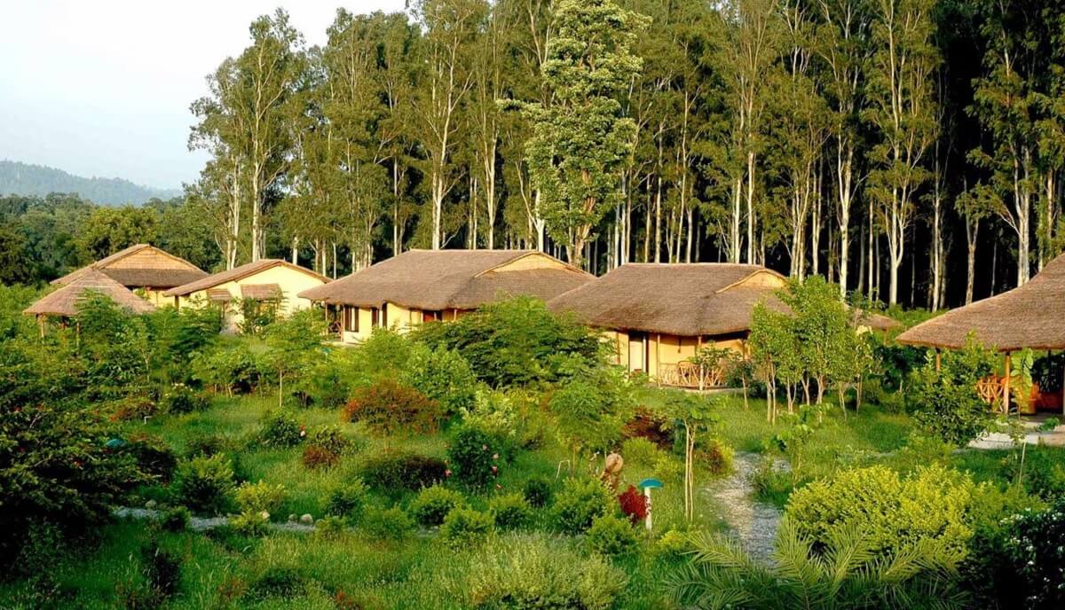 Jim’s Jungle Retreat, Corbett – Colonial Comfort in the Jungle