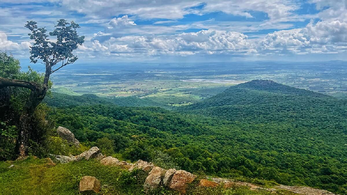 BR Hills – Where Jungle Meets Misty Mountains