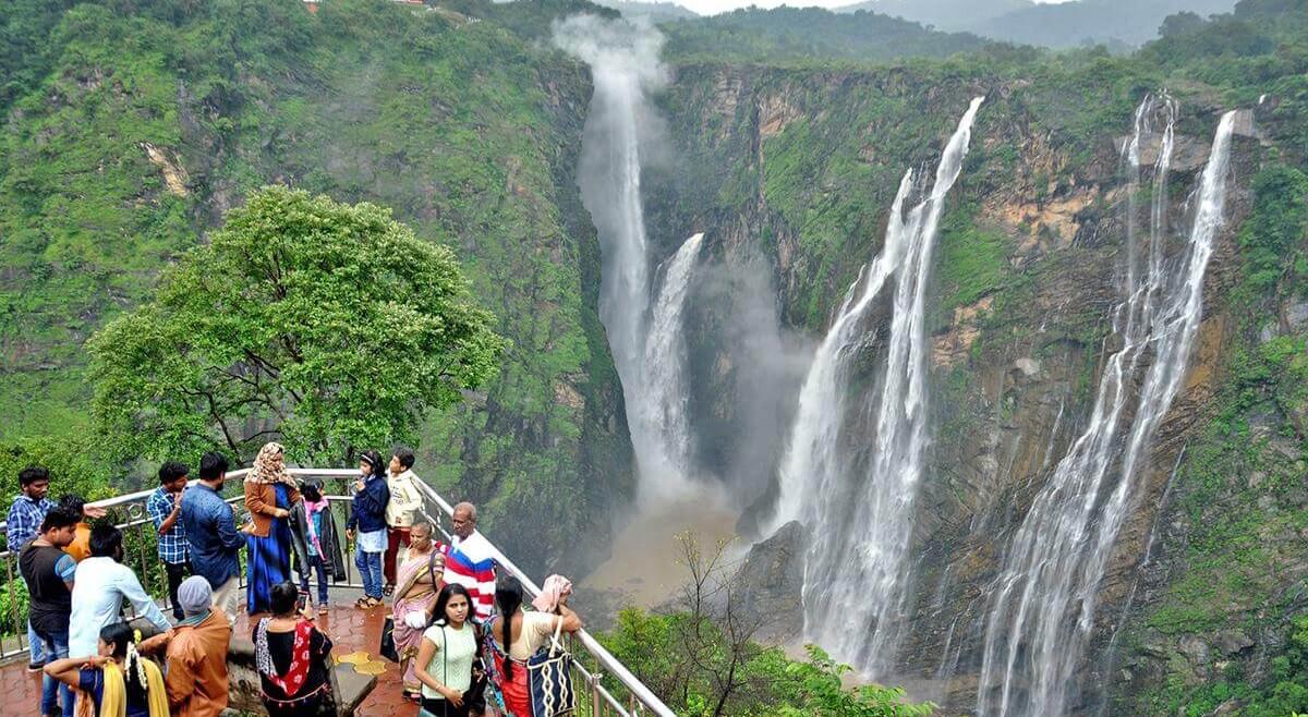 The Journey: Jungle Trek or Scenic Drive?