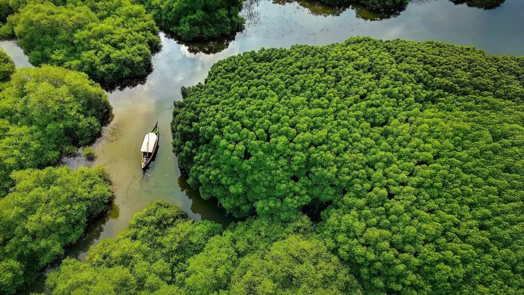 Things to Do in Kerala in September