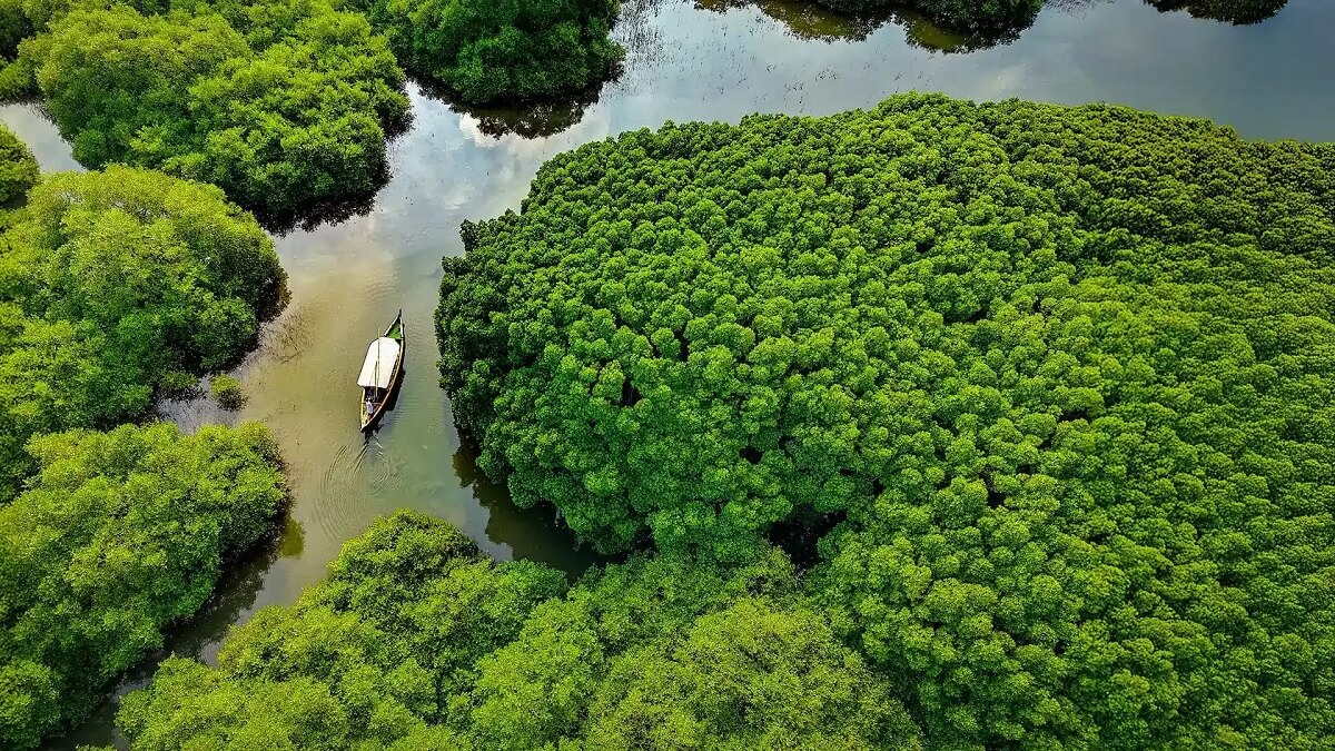 Things to Do in Kerala in September