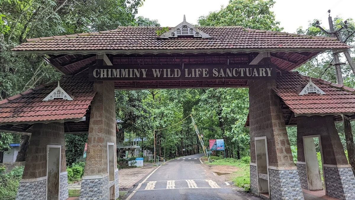 Kerala Forest Research Institute (KFRI): Scientific Wonder