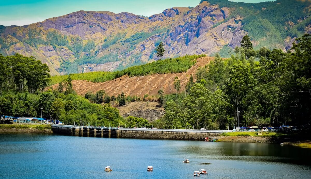 Mattupetty Dam Hills: Tea Garden Trails