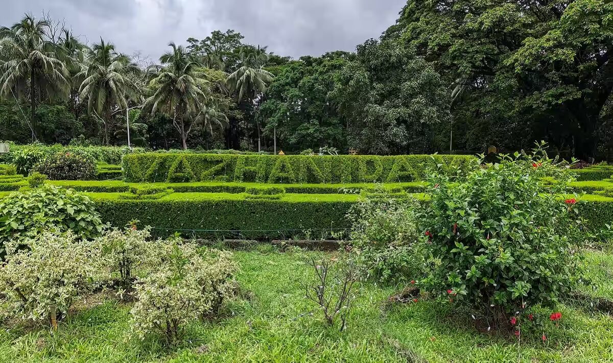 Pariyaram Medical College Botanical Garden: Educational Beauty