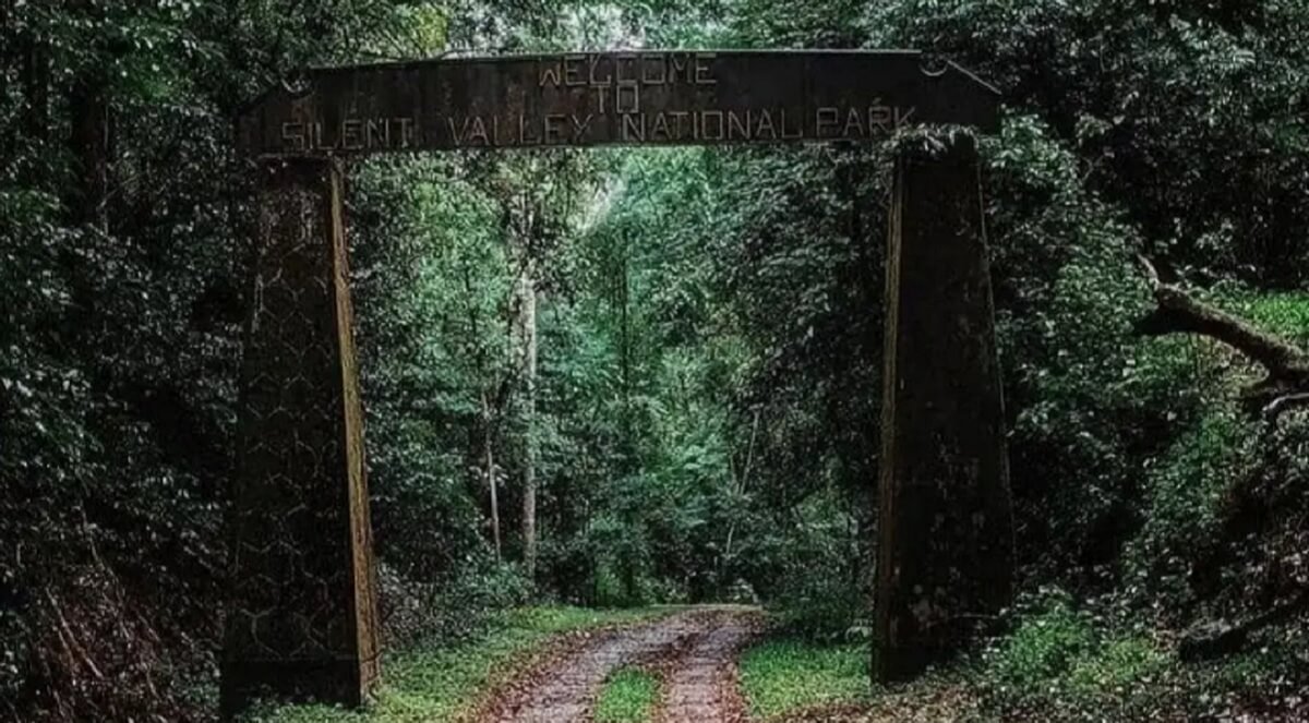 Silent Valley National Park, Kerala