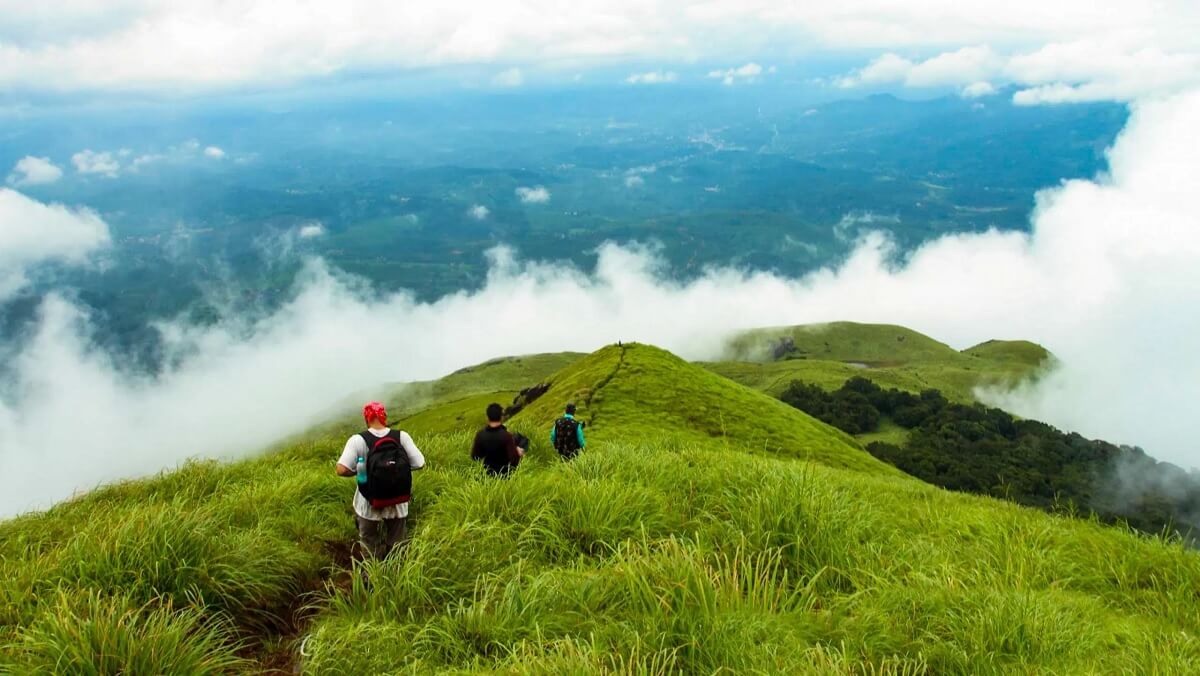 Chembra Peak: The Heart-Shaped Lake Trek