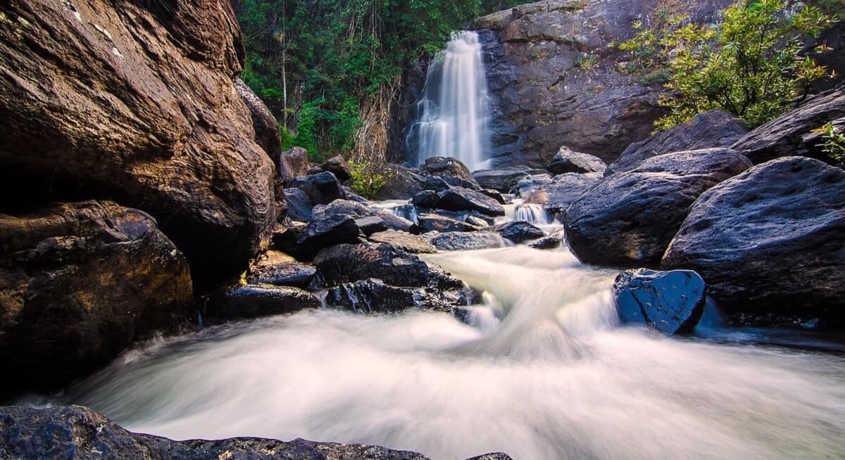 Top Things to Do in Wayanad During July Monsoon