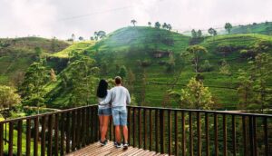 Peaceful, Crowd-Free New Year Spots for Families