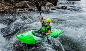 Malabar River Festival Travel Guide 2025: Everything You Need to Know