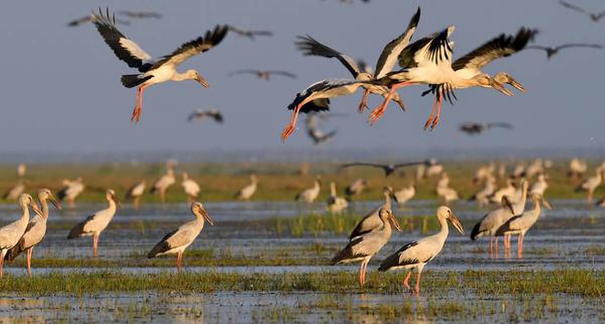 Other Notable Birding Villages Around Chilika