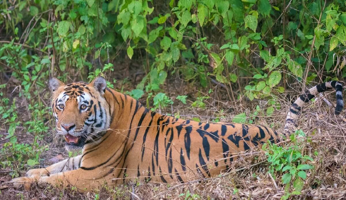 What to Pack for Your Trip to Karlapat