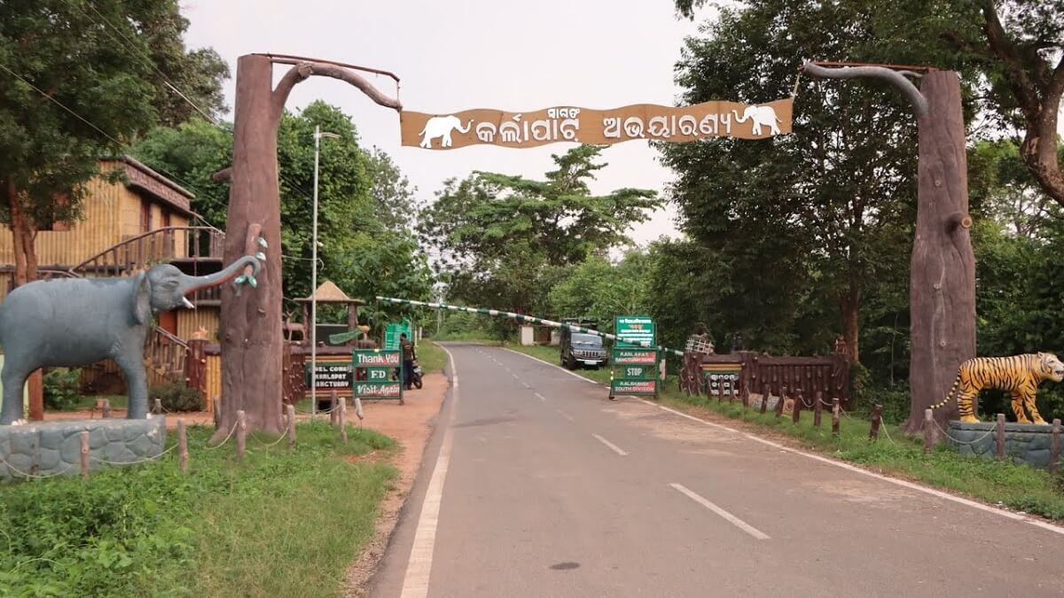 Best Time to Visit Karlapat Wildlife Sanctuary