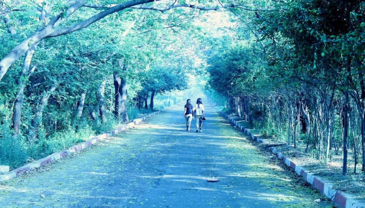 Okhla Bird Sanctuary: Urban Wildlife Haven