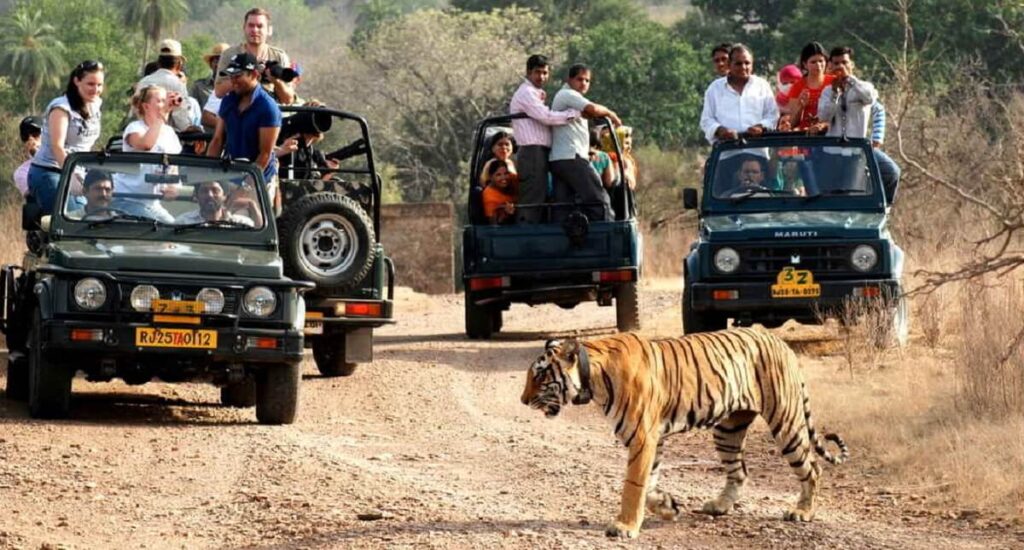 Nearby Attractions
