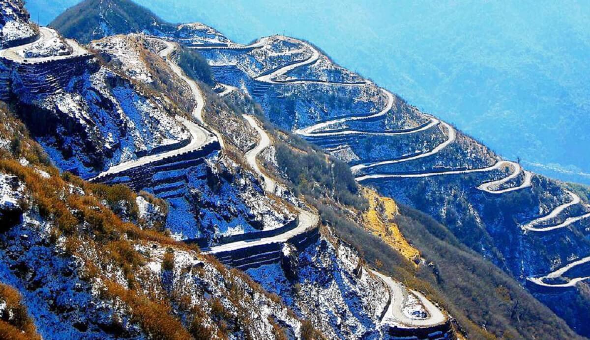 The Serpentine Marvel of the Eastern Himalayas