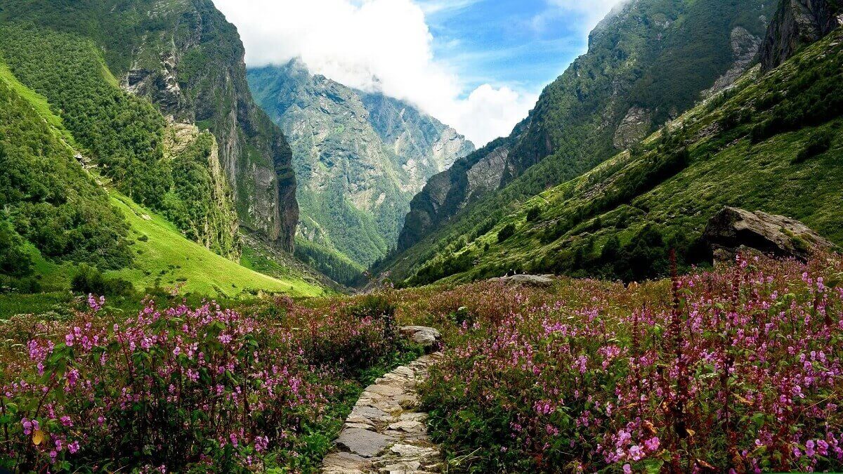 Valley of Flowers