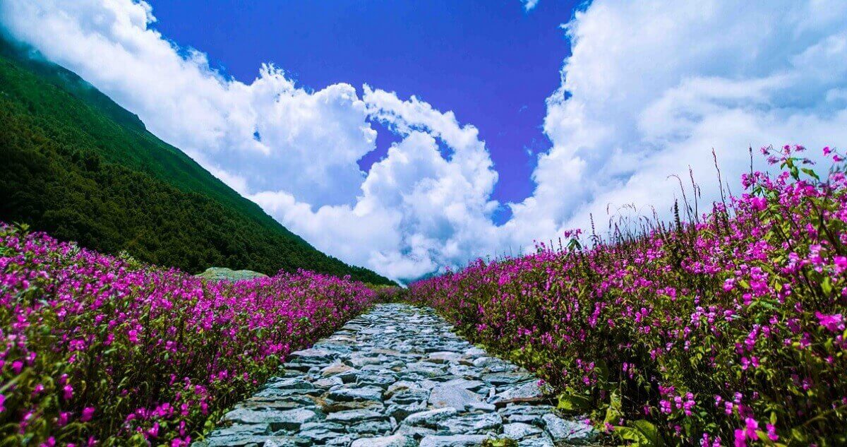 Where to Go in Uttarakhand in August