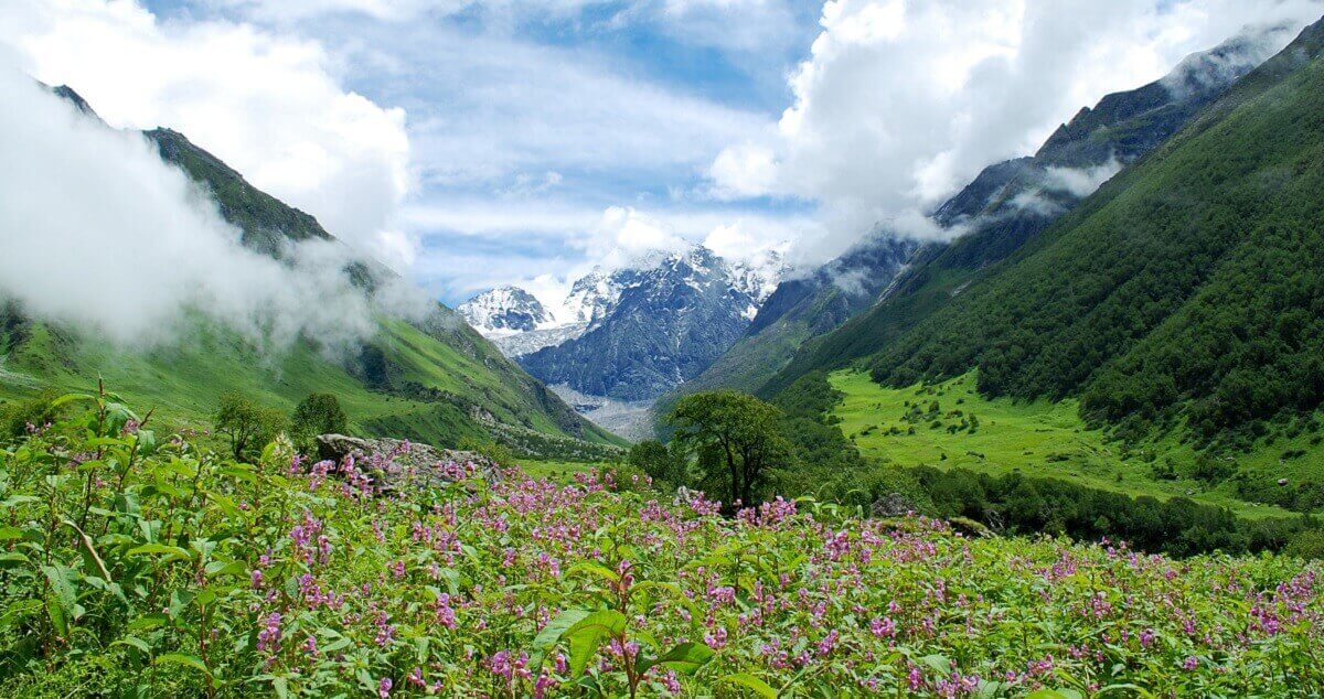 July to Early September – Monsoon: Lush, But Clouded
