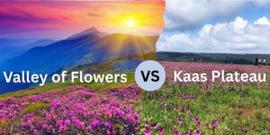 Valley of Flowers vs Kaas Plateau: Which Bloom Is Better in August?