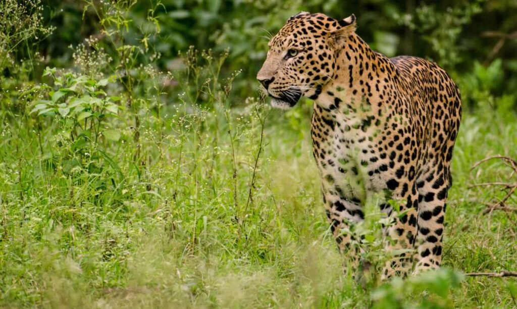 Top National Parks and Wildlife Sanctuaries to Visit in December 2025