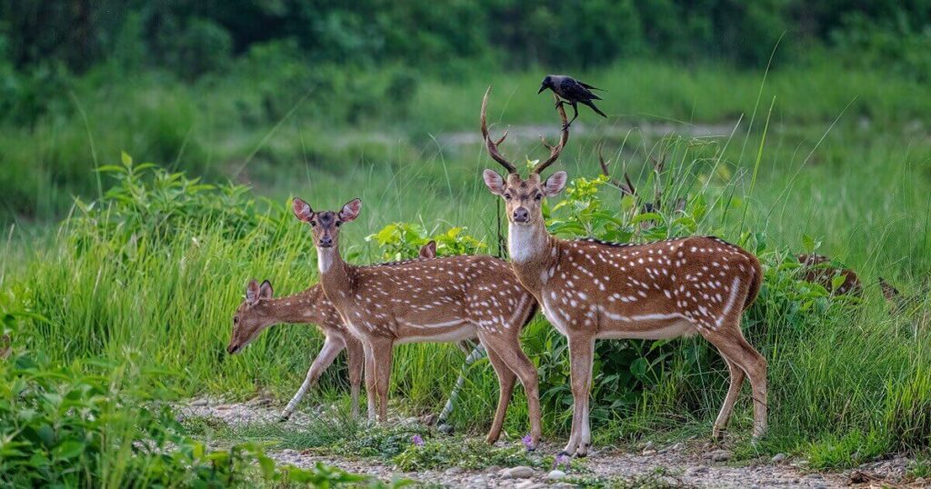 Wildlife Sanctuaries That Are Open in July (and Worth Visiting)