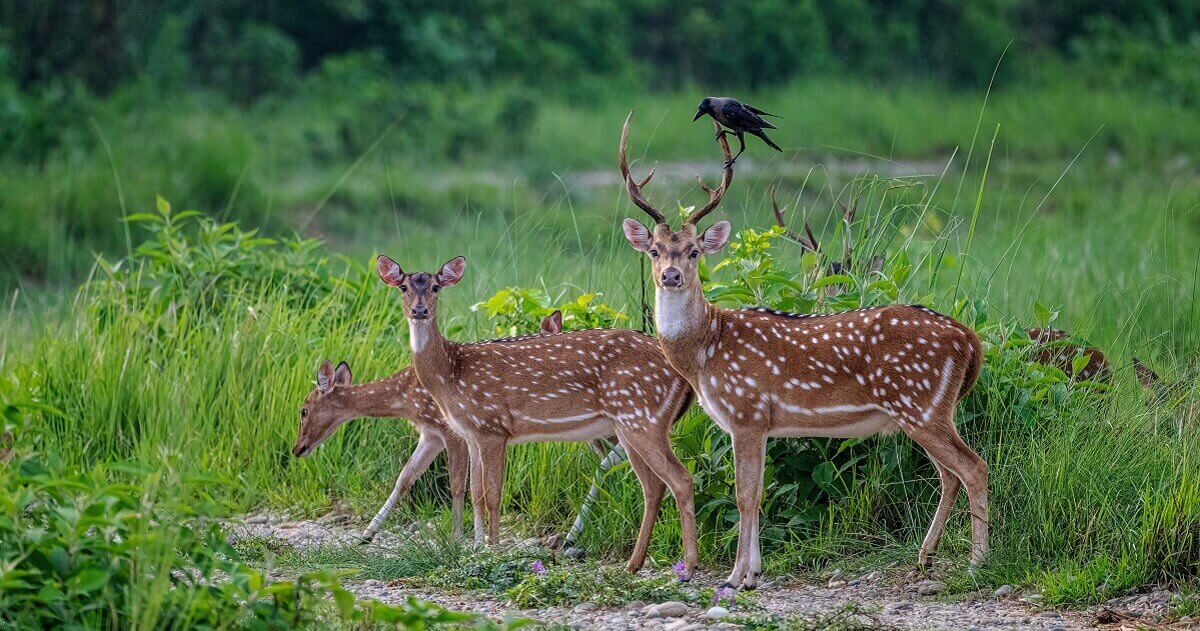 Suggested Multi-Park Circuits