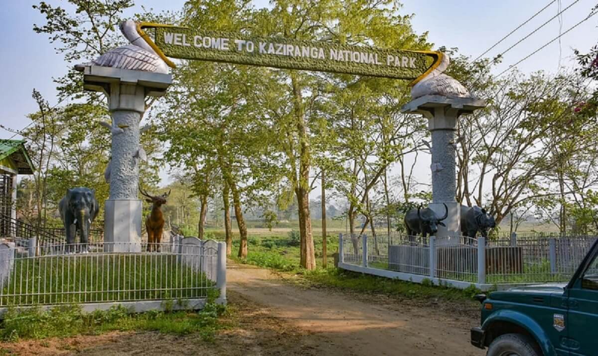 Why Visit Kaziranga in December 2025?